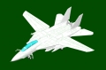 HB81771 Persian Cat F-14A TomCat - IRIAF HB81771 Persian Cat F-14A TomCat - IRIAF